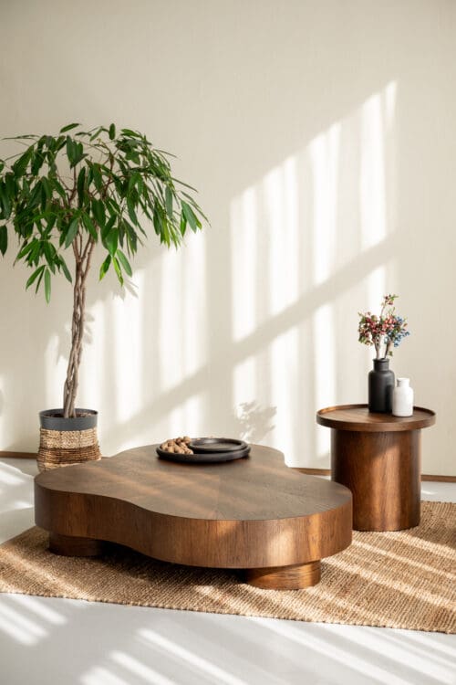 Salontafel Dunya | Bruin | Organisch